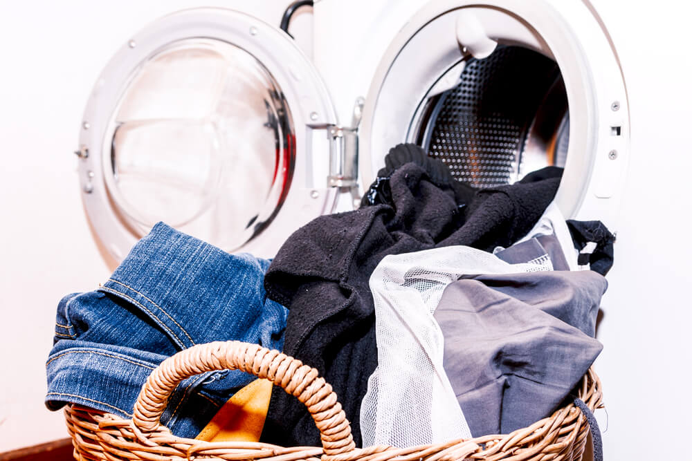 laundry equipment leasing